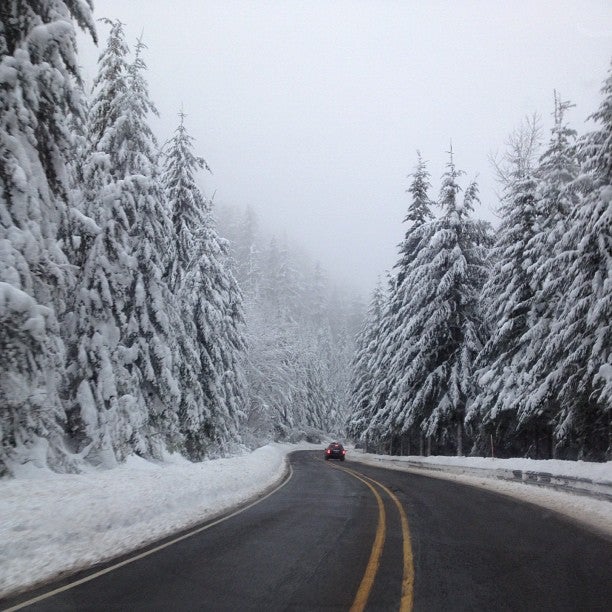 @patrickfesler Driving into the white and snowy abyss.