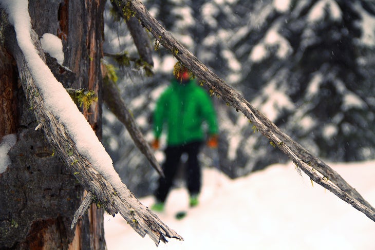 Navigating by Tree TJ David finds his way through Whitefish forest. Rumor has it that he uses the moss on trees to help navigate.