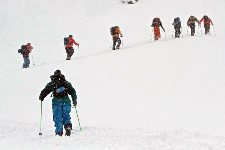 Skin to Win What is arguably a too-big group of backcountry skiers ascends the track