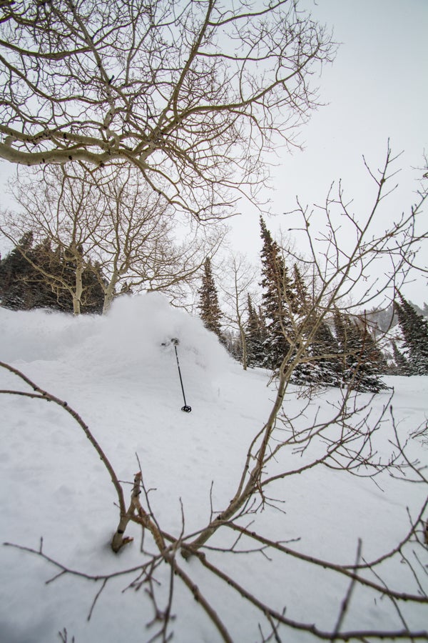 Ski Test 2014: Day 2 Hold my calls. I will be in the white room until further notice.