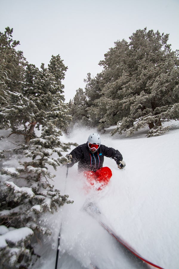 Ski Test 2014: Day 2 Tester Tim Dyer takes a tight line down a tree trail while putting a pair of skis to the test during the second day of testing in Snowbird.