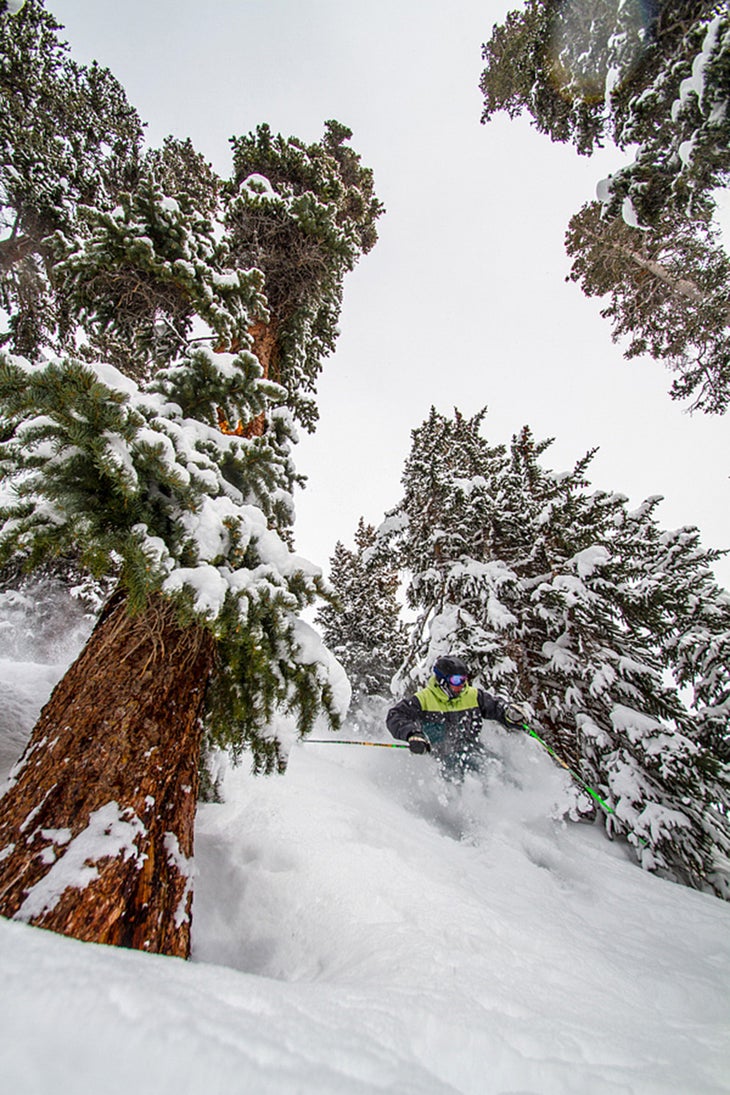 Forest Dwellers Tester Brenden Gooding hits the trees to find the deep stuff during the 2014 Indie Ski Test.Check out the video edit we made from our test.