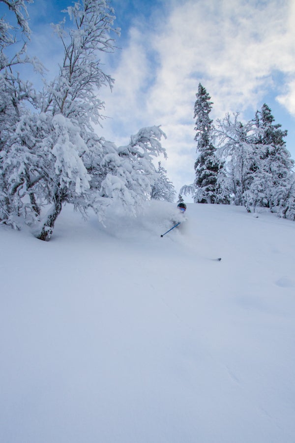 Freshies Sweden isn’t known as the powder Mecca of the world, but it can get a heavy dusting. Kjell Ellefson makes the most of fresh snow in the trees of…