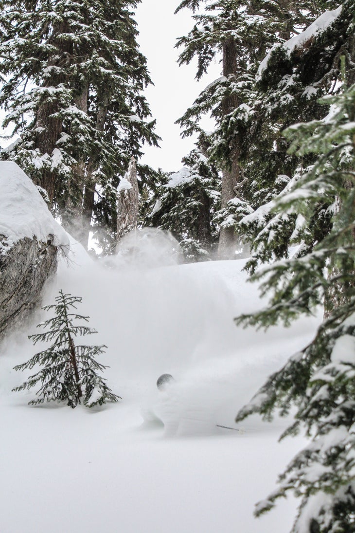 Snoqualmie Winter charged into the Pacific Northwest in February after a quiet start to the year. With a small sample of the 135-plus inches Alpental received…