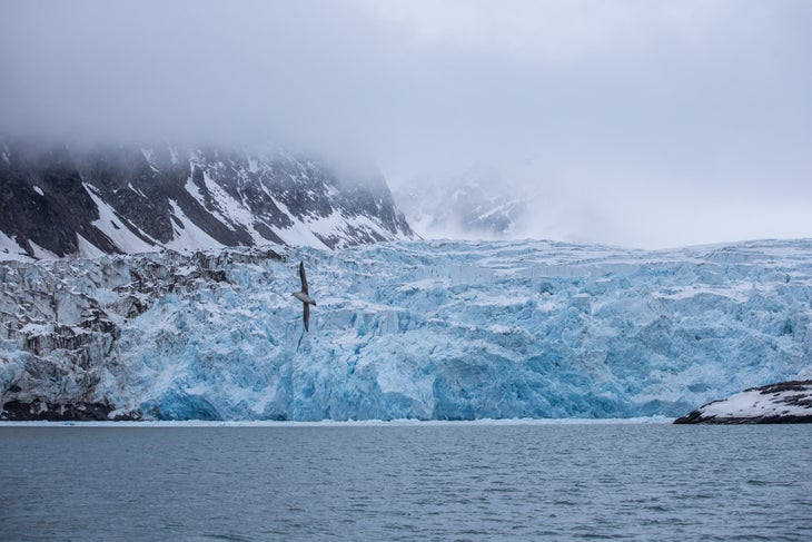 Humbling Ice “Ice is everywhere on Svalbard. In fact it covers the majority of the land up there. These big valley glaciers are beautiful but dangerous. They…