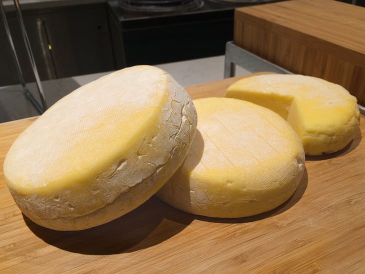 Cheese, Please None