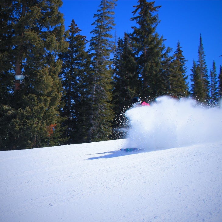 Austin Parker Skier: Nikkie Shepherd Photographer: Austin Parker Location: Brighton, Utah Date: March 22, 2014