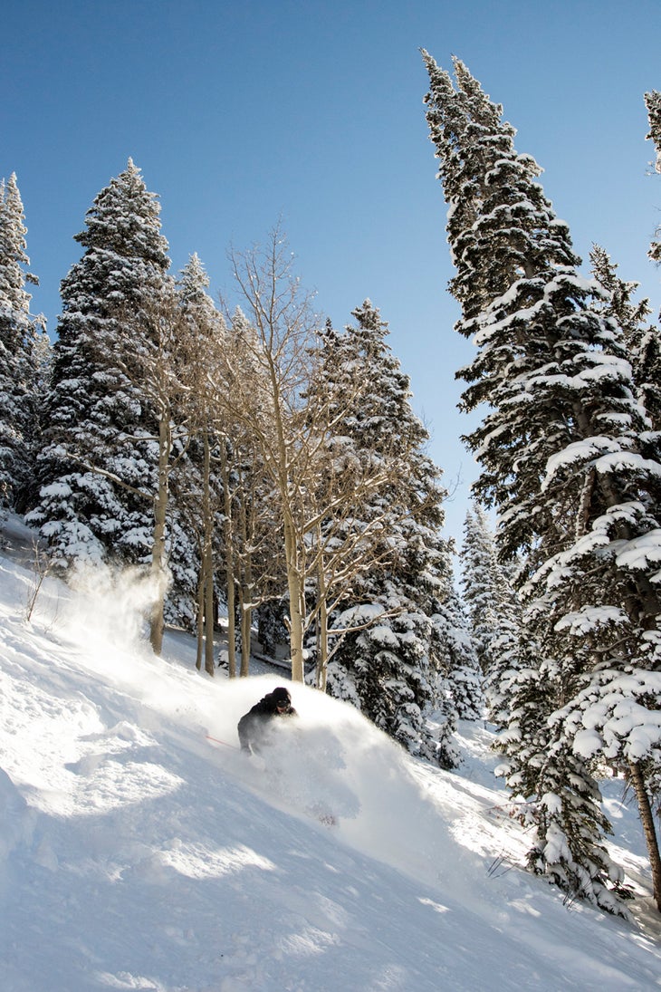 Week of Feb. 1-7 Brighton, UtahPhoto: Gill MontgomerySkier: Will WessonBrighton's seen half a foot in the past few days.