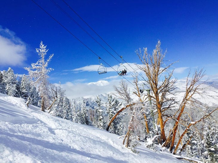 Week of Feb. 22 Sugarbush, Vermont Photo: John Atkinson/Sugarbush Skier: Bob DillonA handful of inches fell has fallen this week, but a foot is in the forecast.