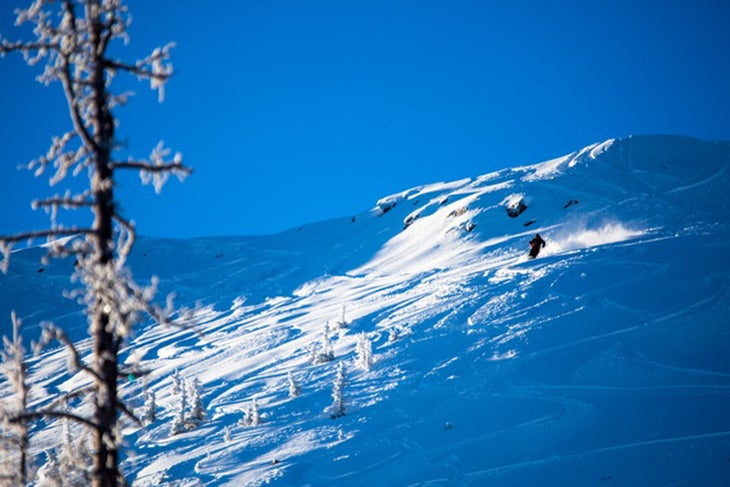 Week of Jan. 11-17 Wolf Creek, ColoradoPhoto: Jason LombardSkier: Hannah HannahWolf Creek recieved 15 inches in the last 72 hours.