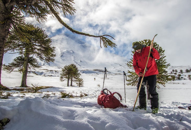 After The Storm As bad weather clears up, Nacho gets his gear ready for some ski touring.