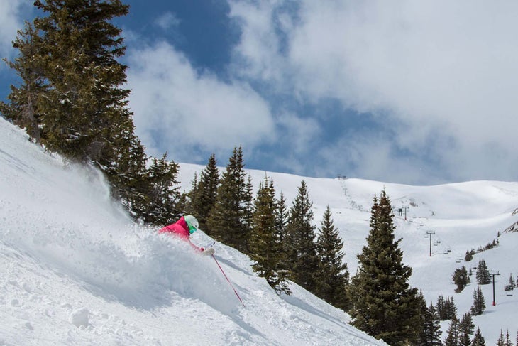 Women's Powder None