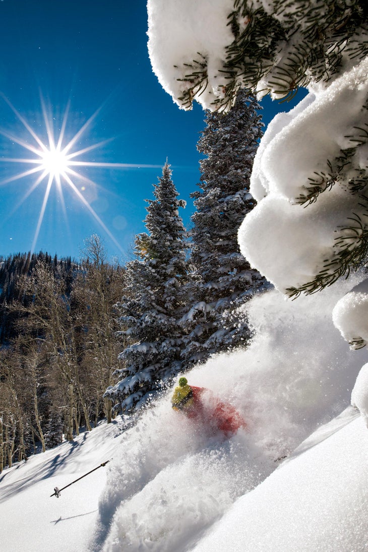 Sample our Fresh Powder None