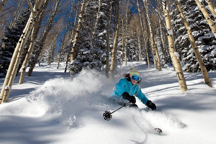 Skiing the Trees None