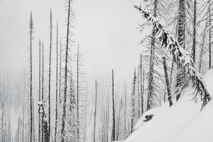 Daily Grind Photographer Reuben Krabbe got a last-minute phone call to join skier Dan Treadway on a trip with B.C.’s Monashee Powder Cats, and 36 hours later he…