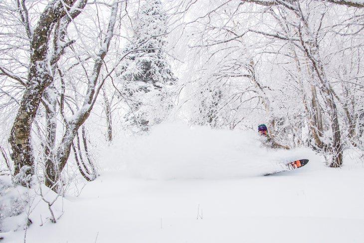 Jay Peak Resort - Vermont Taylor Petrizzo enjoys 7 inches of fresh snow while skiing the trees of Jay Peak, Vermont