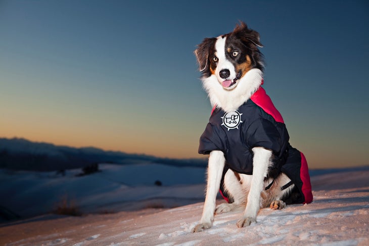 d-fa Puff Doggy It’s like a sleeping bag for your dog. The d-fa Puff Doggy is a synthetic-insulated, wind- and water-resistant jacket that clips under your dogs…