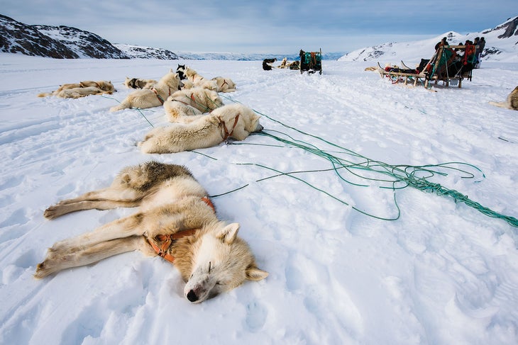 SKG1216_PHO6_Greenland The team had to hire dogsleds to reach the tiny town of Tiniteqilaaq, which meant each crew member had a team of eight dogs. “It was total chaos all…