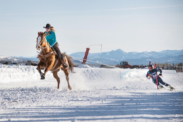 Ski Joring_Carving.Galicheva None