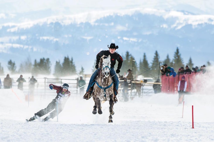 Ski Joring_Opener.Galicheva_6web None