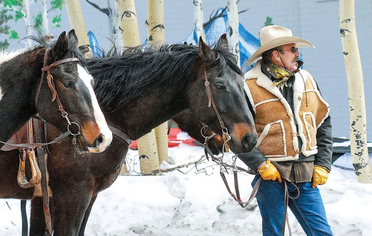 Ski Joring_Rider Jeff Dahl.MarkFox None