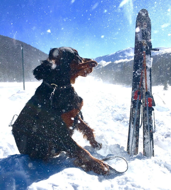 SKI_powderhounds_wme_15 None