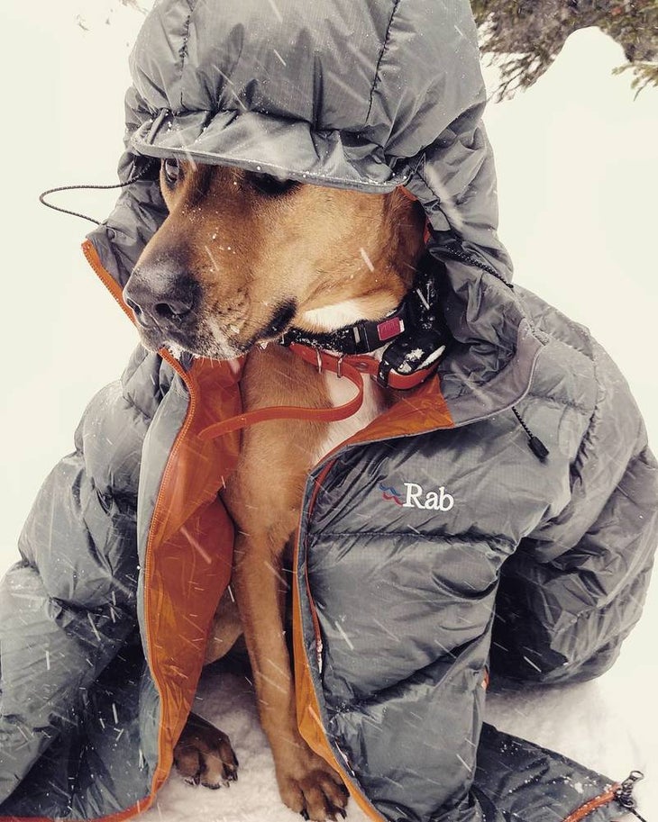 SKI_powderhounds_wme_9 None