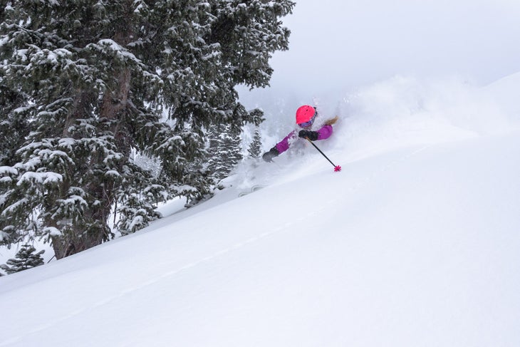 (Snowbird)_D3A4557_MattCrawley None