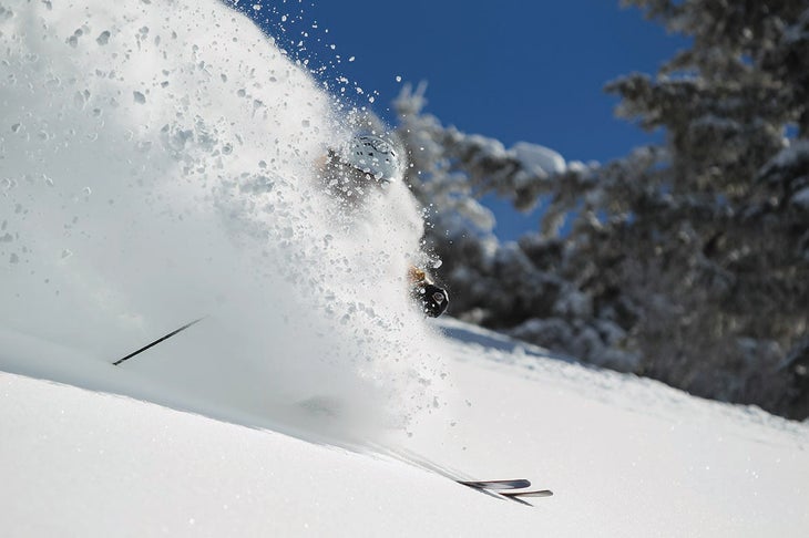 (Targhee)KDC_3513 None
