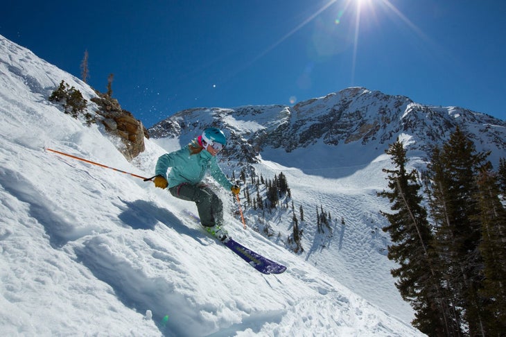 Snowbird_keri None