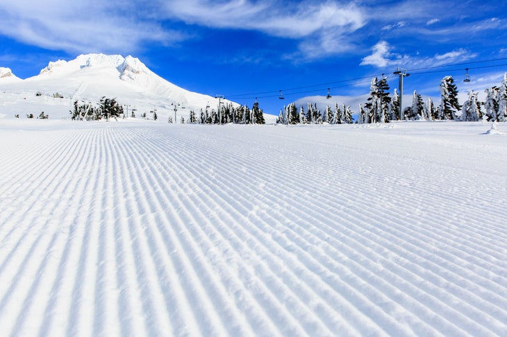 Timberline-web None