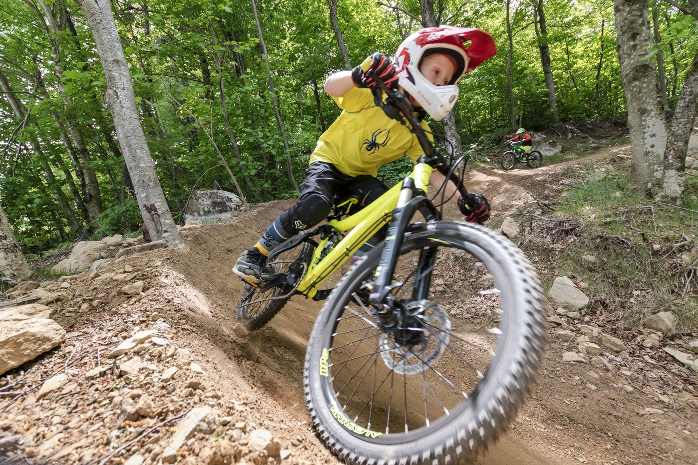 Summer of Shred
