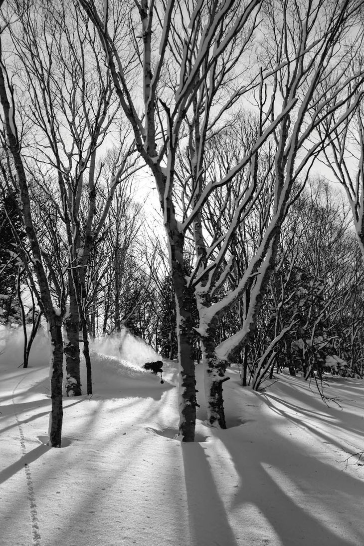 SKI0118_BUC5_creditBrunoLong Alexi Godbout samples the powder in the glades around Shiga Kogen resort. Says photographer Bruno Long: “When the tree-skiing is good, there’s no…