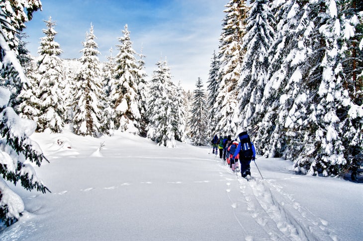 SNOWONLY_Snowshoeing None