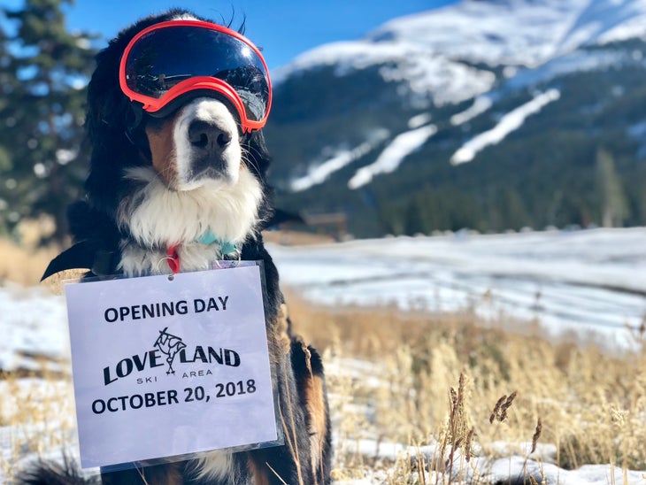 IMG_9943 Parker the Snow Dog Announcing Opening Day at Loveland