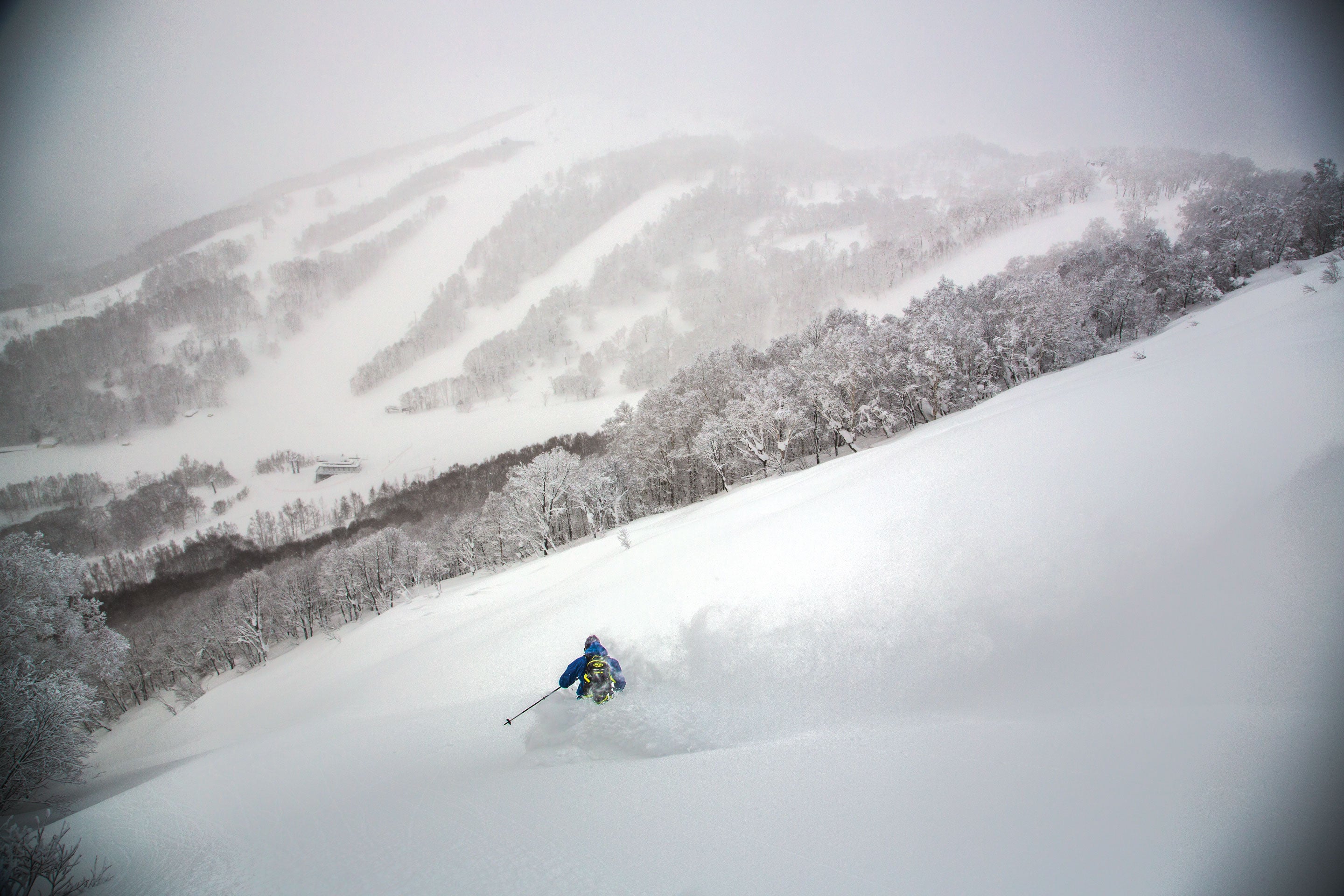 "Charlie Cohn near Rusutsu"