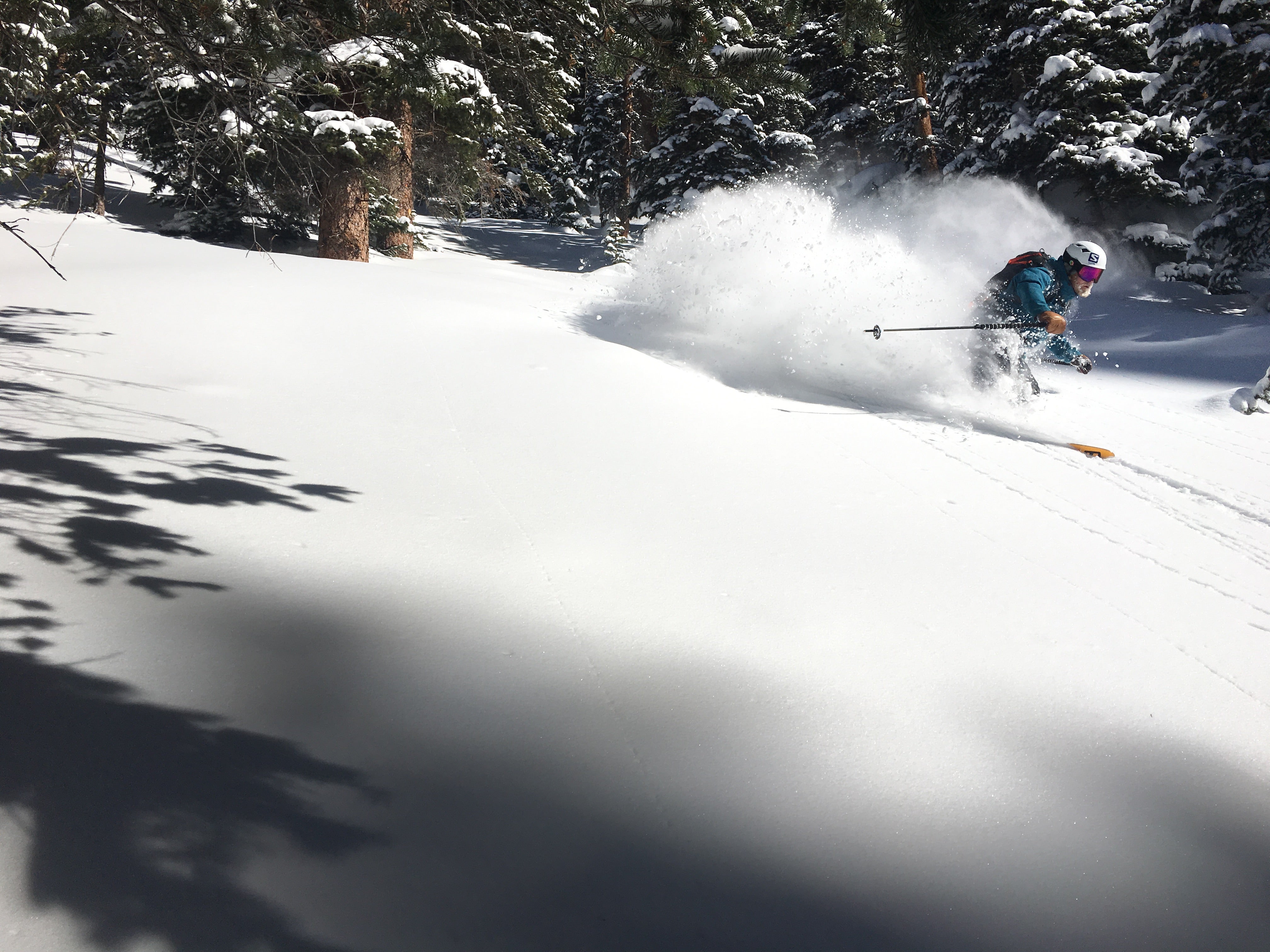 "Drew Peterson Silverton"