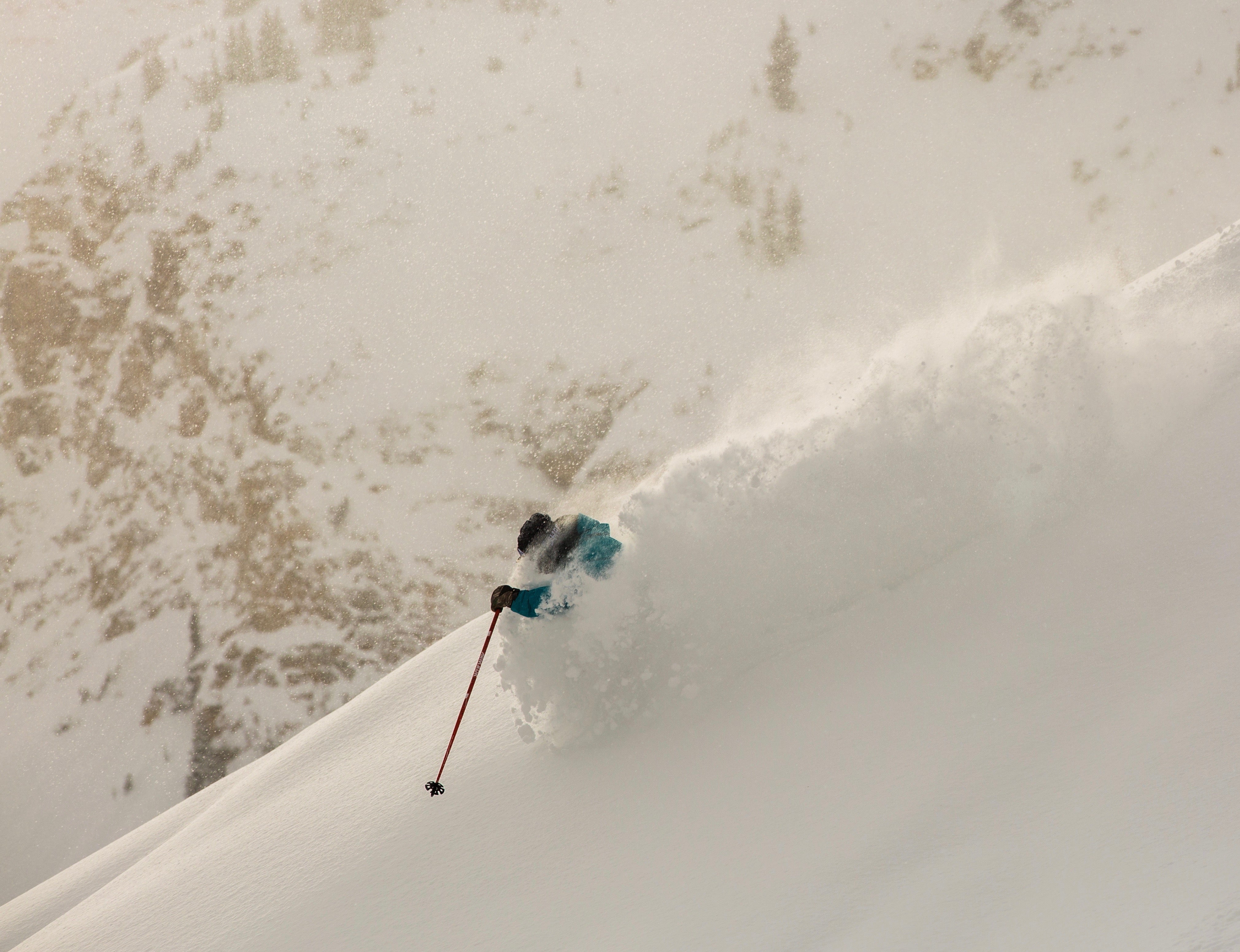 "Todd Ligare Powder"