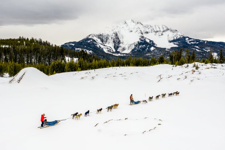 DogSledding-Ben Dog Sledding Big Sky