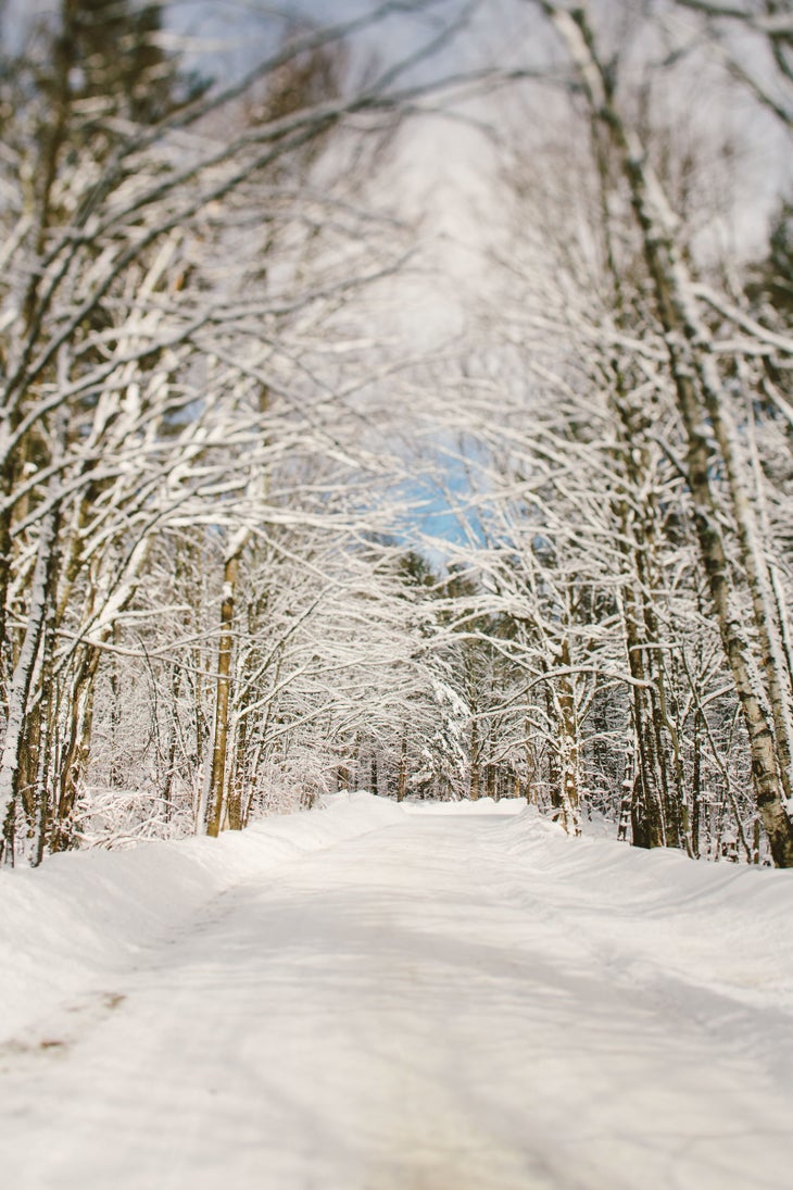 WEB JCash_Stratton_V7A3852 copy Snowy forest in Stratton, Vermont