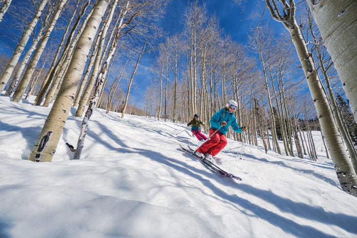 SKI0218_TRA1_creditCoreyKopischke Skiers navigate Steamboat's legendary pine-and-aspen-lined Shadows run.