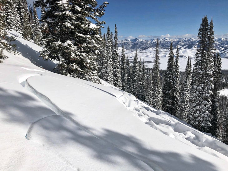 Crooked-Creek_cred-Ben-VandenBos-200401-sawtooths-williams-earthquake-1 Avalanche hangfire after avalanche