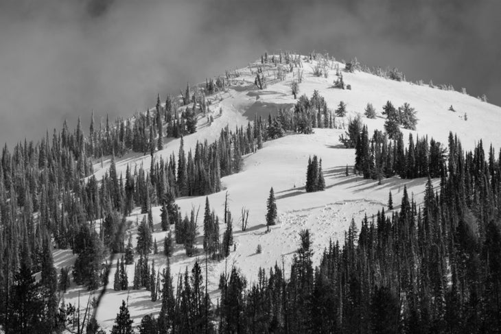 Banner Peak on Copper Mountain with avalanche crown