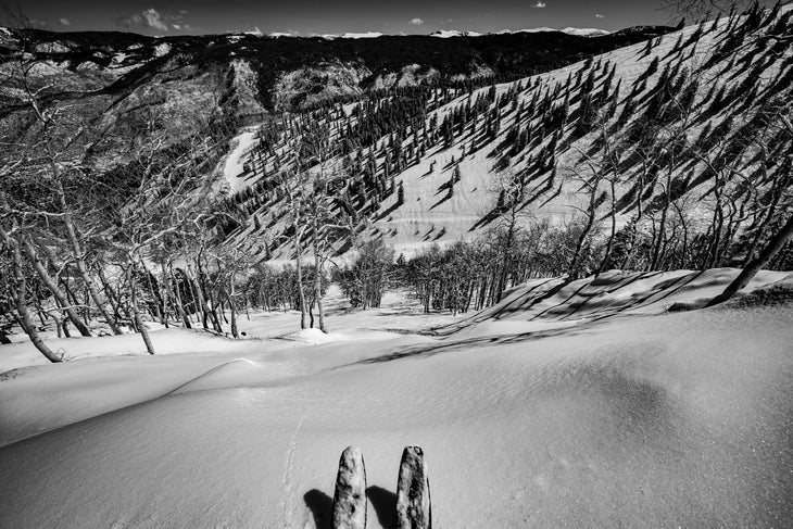 Aspen Terrain Variety