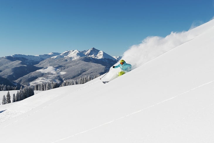 Vail Terrain Variety