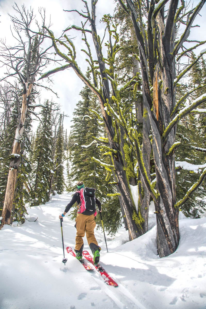"Backcountry skiing requires gear specifically designed for ski touring."