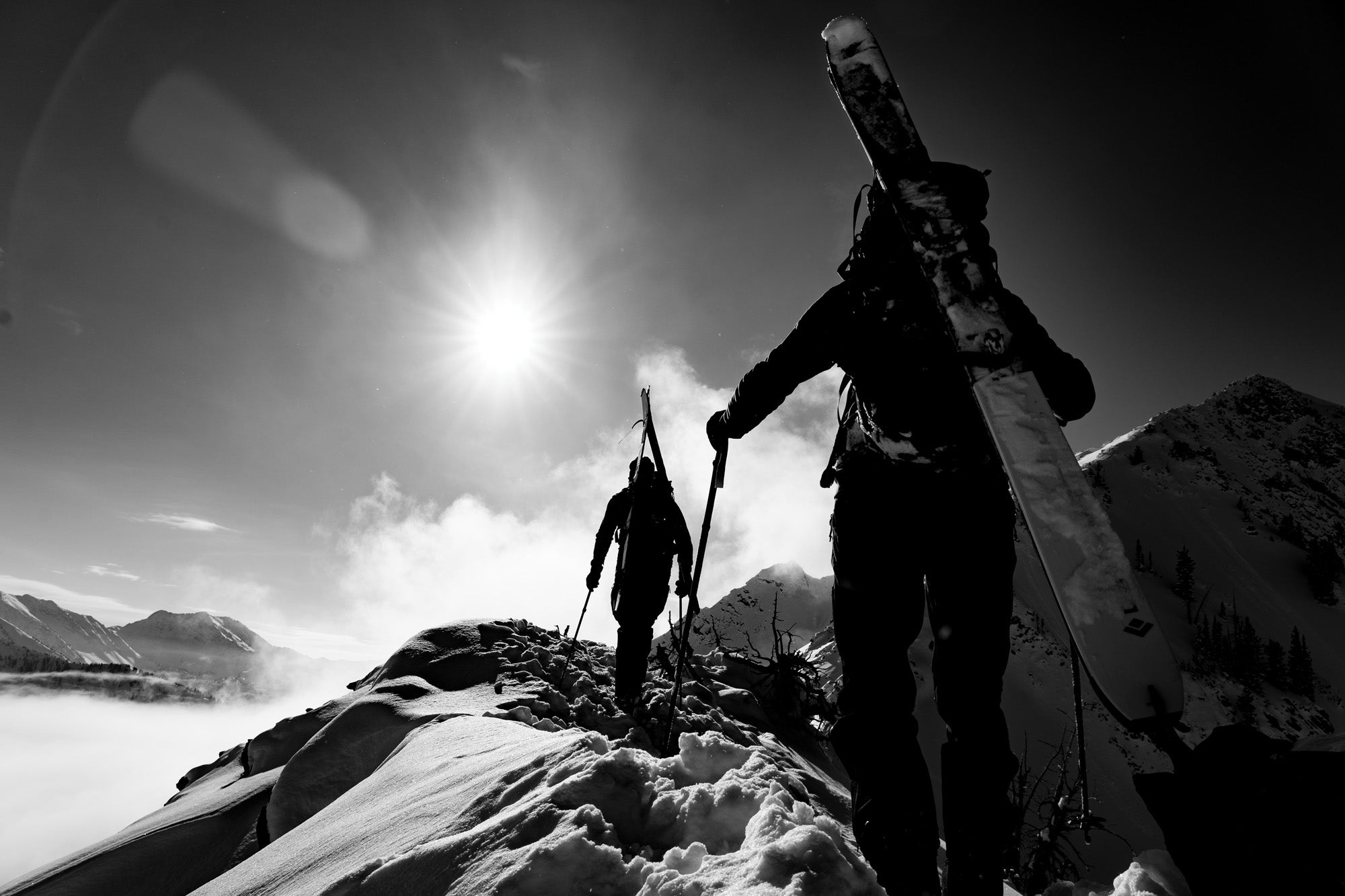 "Black and white backcountry skiers hiking"