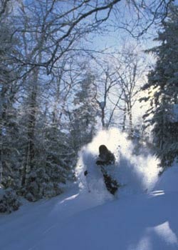 New Sport at the X Games Perret competes in Winter X 13's Monoski X finals on Sunday. Tyler Walker took first in the new event with Sam Ferguson and K-J van der Klooster…