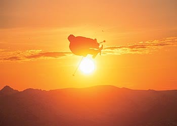 Non-Humans Enjoy the X Games Too Christy the dog/polar bear lounges in the 12 inches of fresh snow at the X Games this weekend. TJ Schiller took home the gold for slopestyle this…