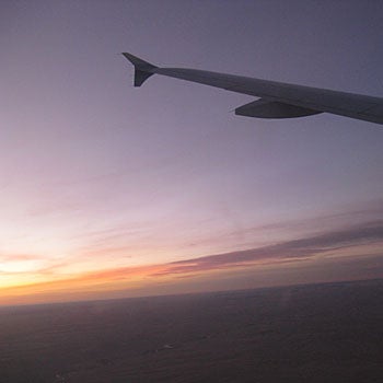 Planes, Trains, and Donkeys None